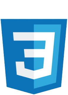 css3 logo